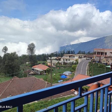 Tengger Indah Bromo By Abm エクステリア 写真