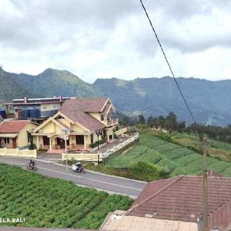 Tengger Indah Bromo By Abm エクステリア 写真